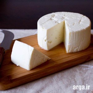 طرز تهیه پنیر 