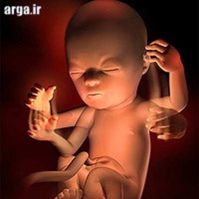 سونوگرافی جنین هجده هفته 