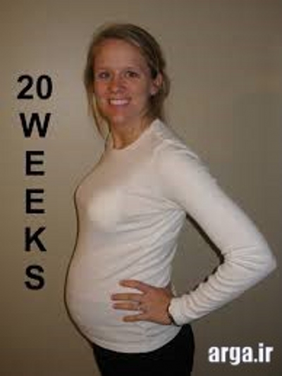 هفته بیستم بارداری