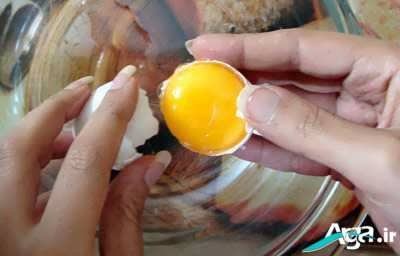 تخم مرغ شکسته شده