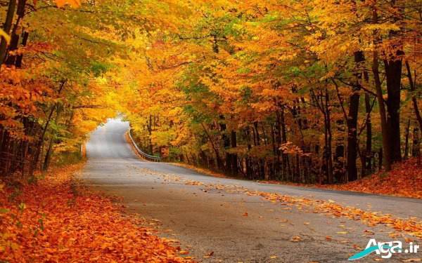 عکس جاده در پاییز