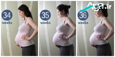 هفته 34 بارداری