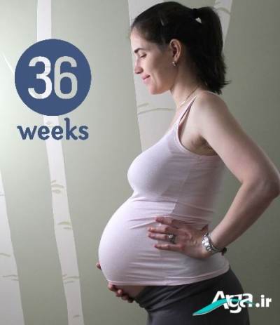 هفته 36 بارداری