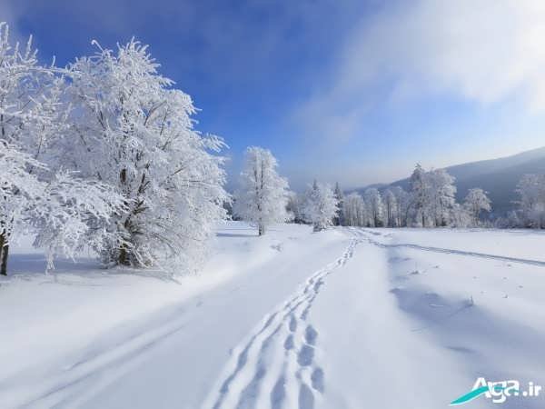 عکس های طبیعت در زمستان