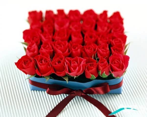 دسته گل رز برای روز عشق