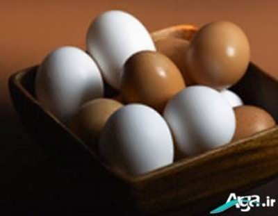 بررسی انواع خواص تخم مرغ