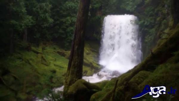 آبشار زیبا در طبیعت