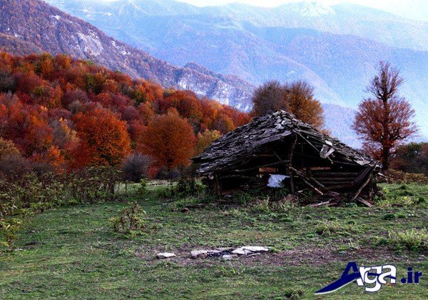 عکس منظره پاییز ایران