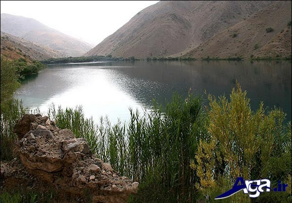 عکس طبیعت ایران همیشه سبز
