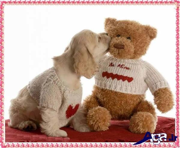 عکس عاشقانه عروسکی خرس و سگ