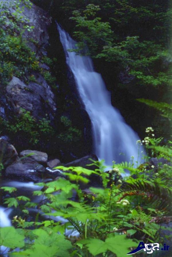 عکس آبشار کریک