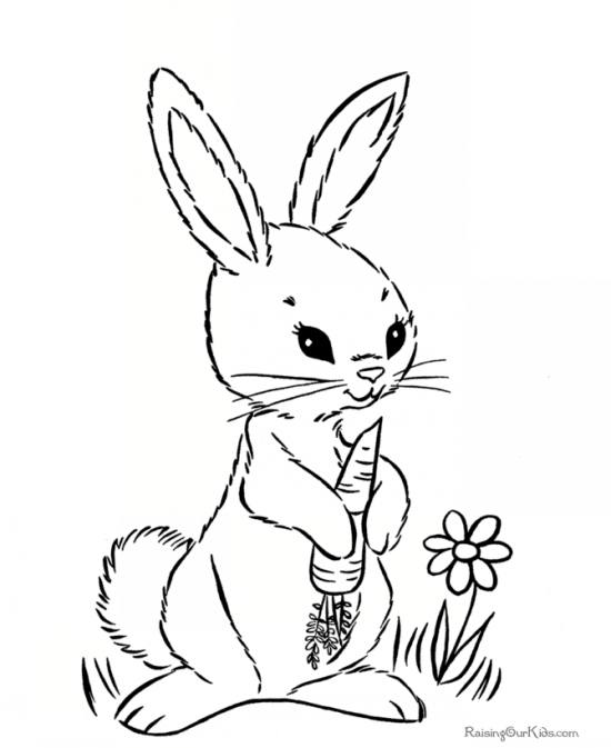 خرگوش زیبا و نقاشی آن برای کودکان