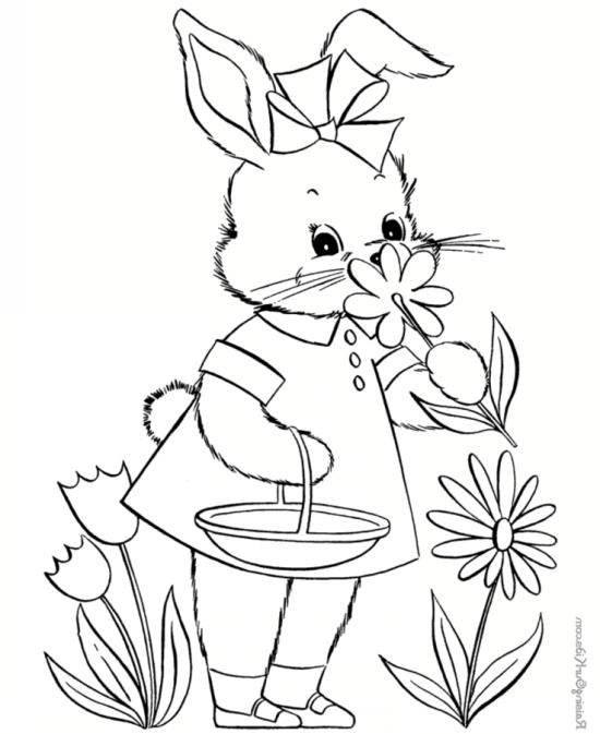 جدیدترین نقاشی های کودکانه از خرگوش