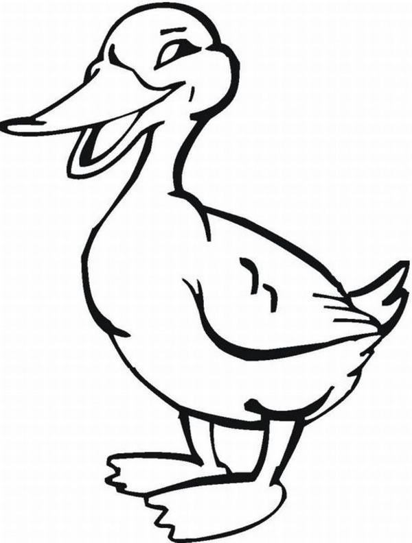 نقاشی اردک 