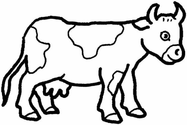 نقاشی گاو برای کودک 