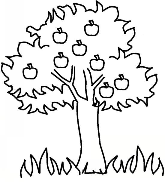 نقاشی درخت برای کودکان
