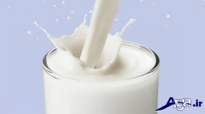 انواع رژیم های متنوع شیر برای کاهش وزن 