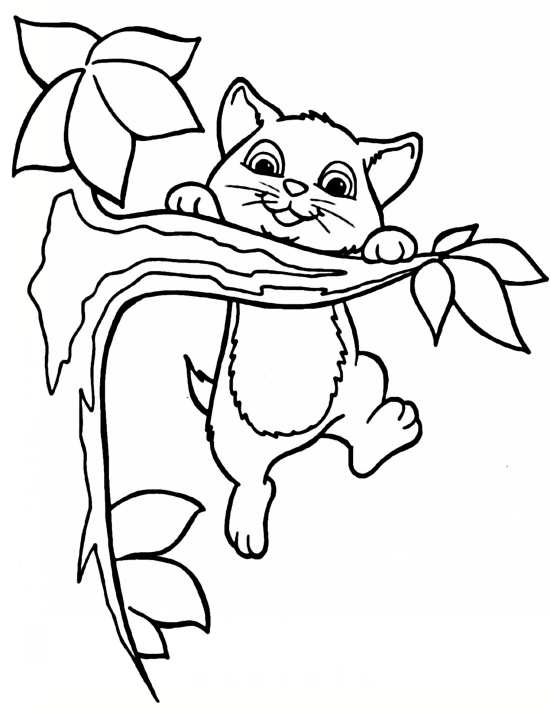 نقاشی گربه و گل 