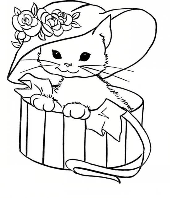 نقاشی زیبا و دوست داشتنی گربه ملوس 
