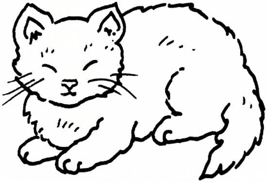 نقاشی جالب از گربه خوابالو برای رنگ آمیزی کودکان 