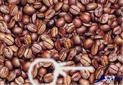 شناسایی چهره انسان در درون قهوه 
