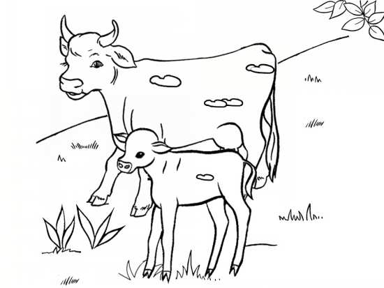 نقاشی گاو و بچه گاو