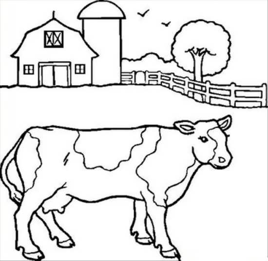 نقاشی گاو زیبا در مزرعه