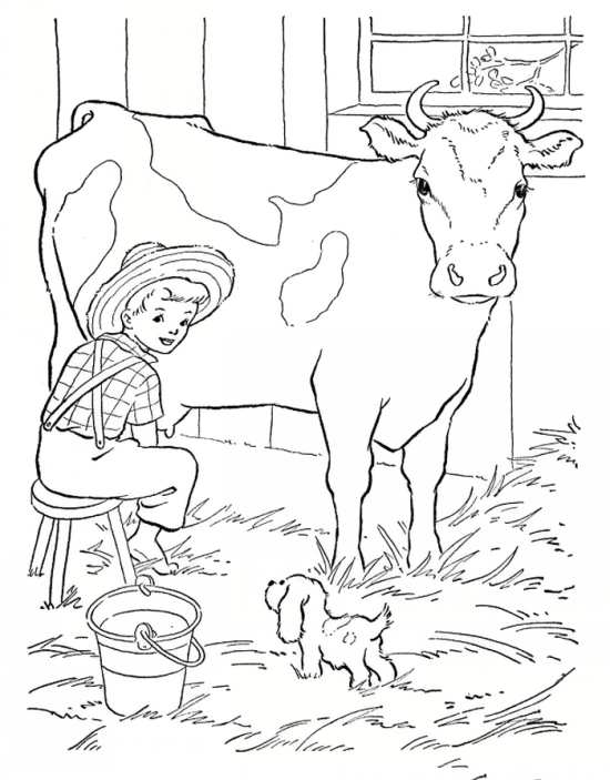 نقاشی گاو شیرده زیبا