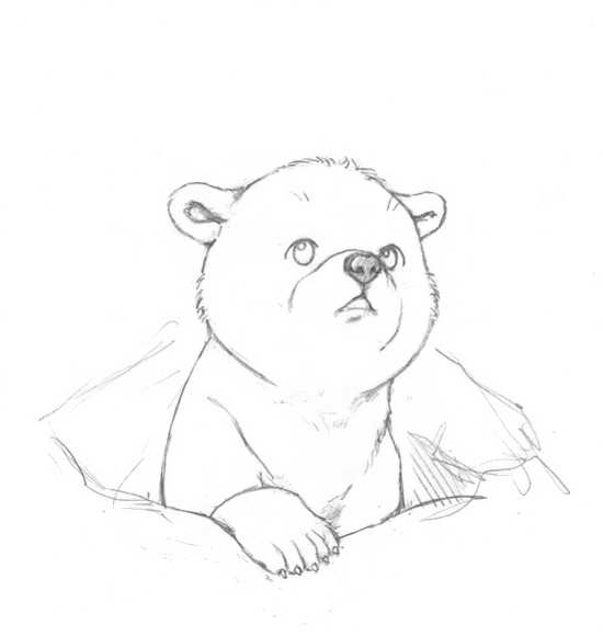 نقاشی های خرس در حال خواب