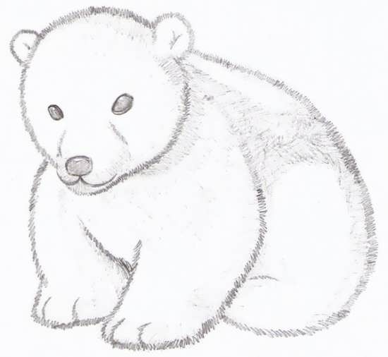 نقاشی از خرس قطبی زیبا