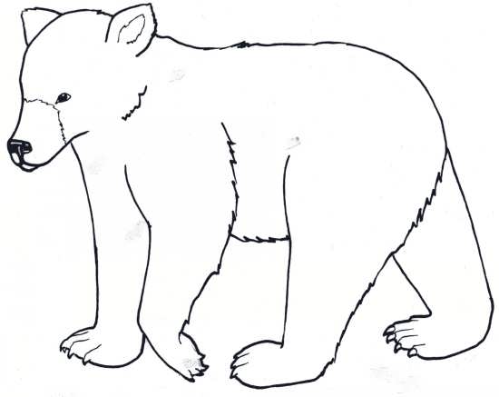 نقاشی خرس قطبی