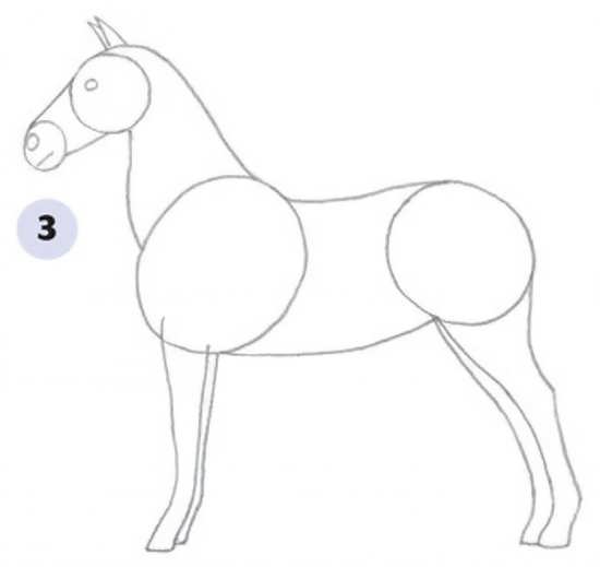 مراحل نقاشی کشیدن اسب