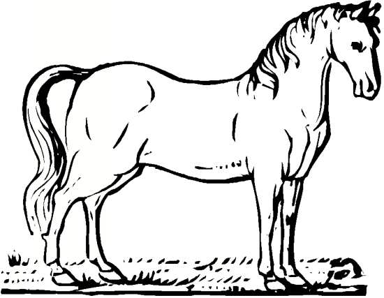 نقاشی اسب برای کودکان
