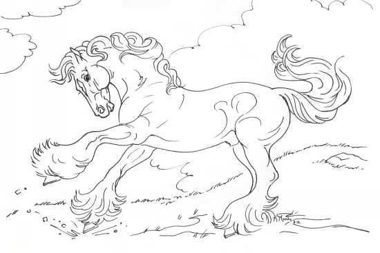 نقاشی حیوان اسب