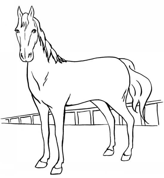 طرح اسب برای نقاشی