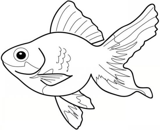 نقاشی های ماهی