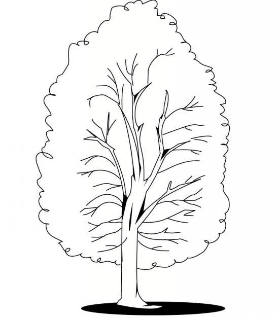 نقاشی آسان درخت