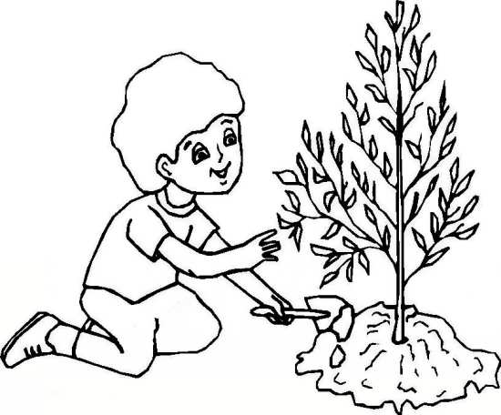 مدل نقاشی درخت کودکانه