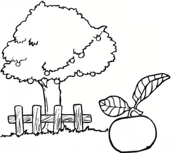 نقاشی کودکانه درخت میوه