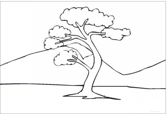 نقاشی تک درخت