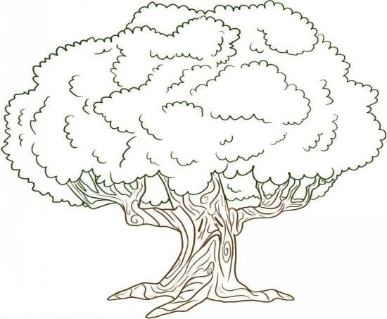 نقاشی کودکانه درخت