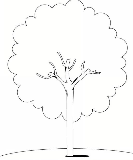 رنگ آمیزی درخت برای کودکان