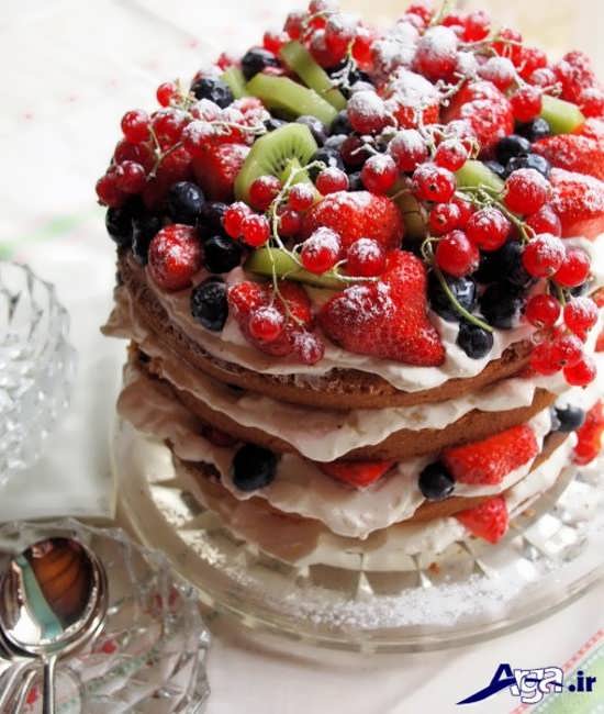 تزیین زیبا کیک با انواع میوه ها 