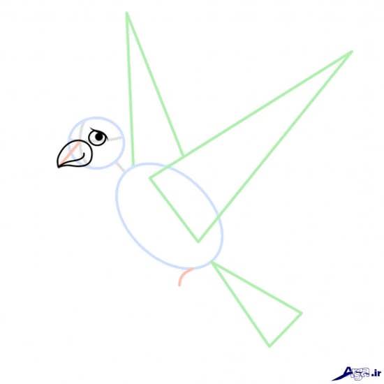 نقاشی پرنده ساده برای کودکان