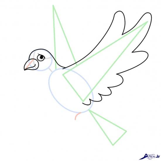 آموزش نقاشی پرنده به کودکان