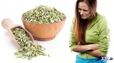 Fennel-Seeds-for-Gas