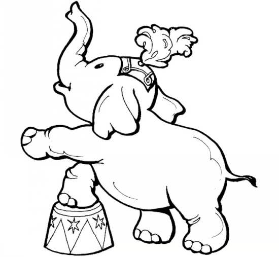 نقاشی فیل 