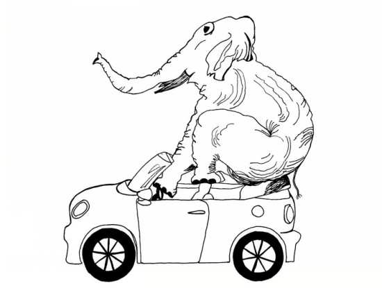 نقاشی زیبا فیل در حا رانندگی کردن 