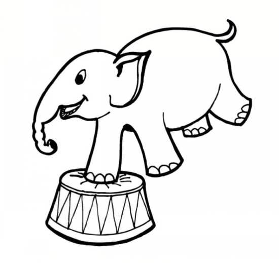 نقاشی های شیرین کاری های فیل در سیرک 