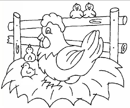 نقاشی مرغ و جوجه